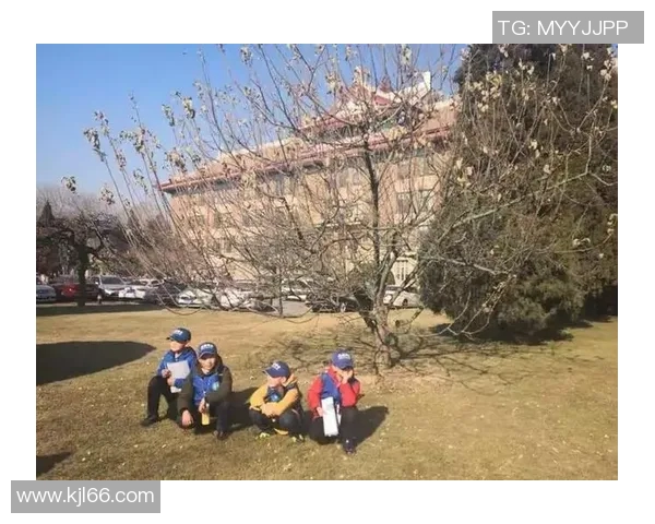 深度对话：赵伟在篮球场上的奋斗与梦想之旅