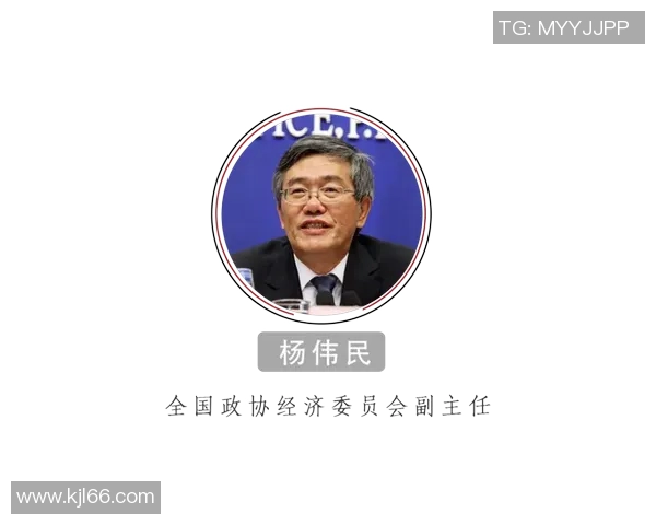 在顾全大局中寻求平衡与发展的智慧之道